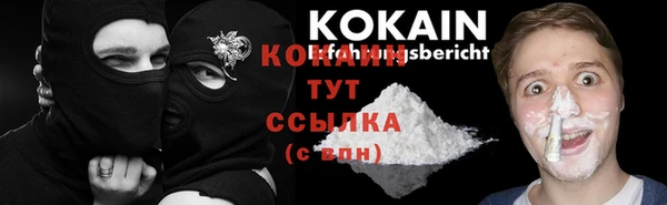 соль ск Алексин