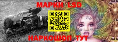 молекула духа Ставрополь