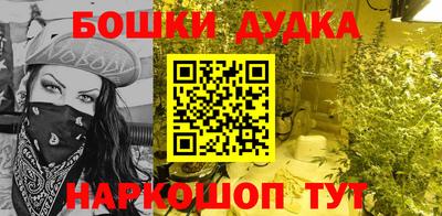 молекула духа Ставрополь