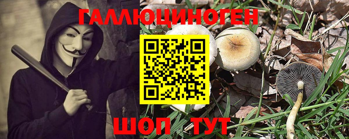 Светлоград  Псилоцибиновые грибы GOLDEN TEACHER  купить закладку  Вход с VPN  Галлюциногенные грибы MAGIC MUSHROOMS 